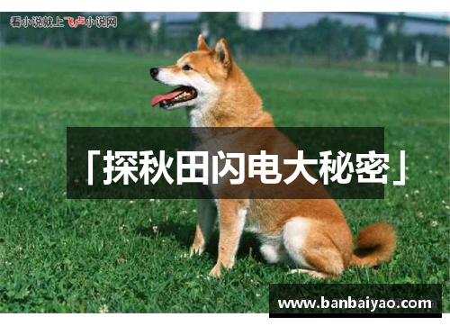 「探秋田闪电大秘密」